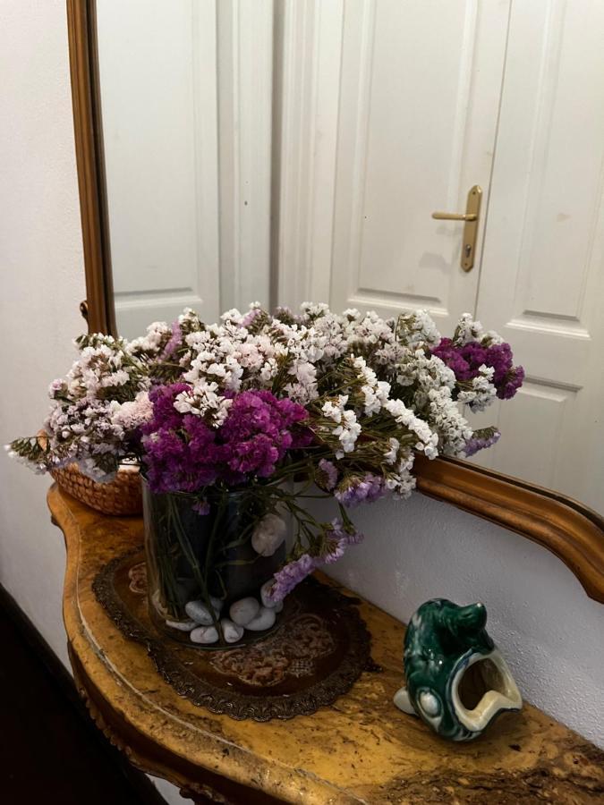 Apartment Hisa 7 피란 외부 사진